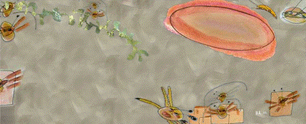 crab animation for Lib Willard